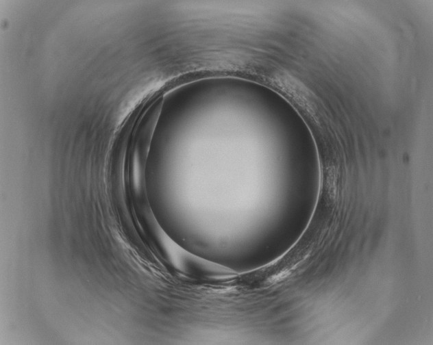 X0000089700676200706211319