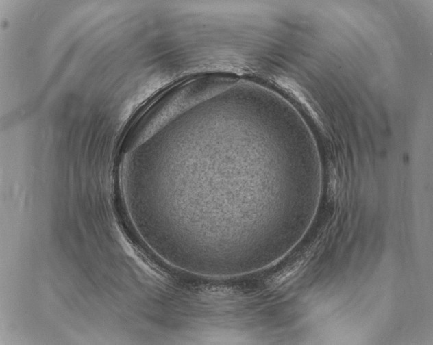 X0000089700677200706211319