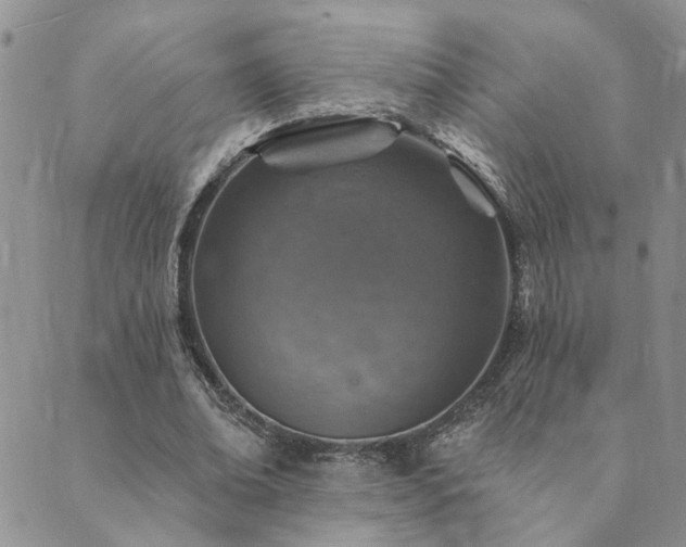 X0000089700678200706211319