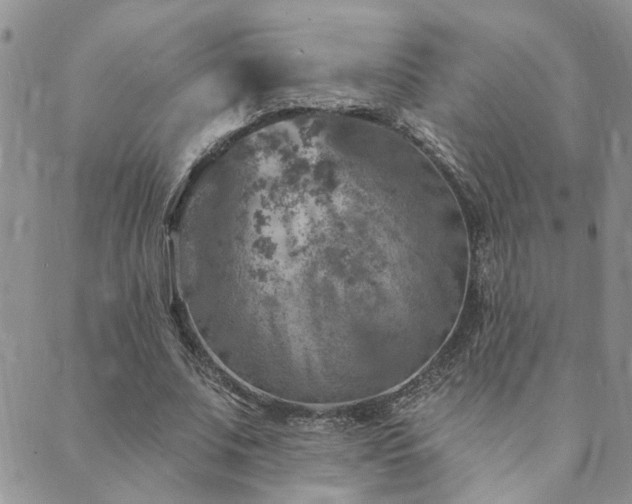 X0000089700679200706211319