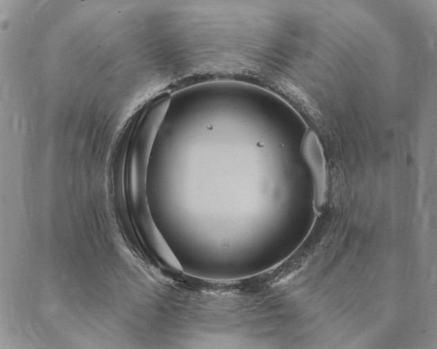 X0000089700680200706211319