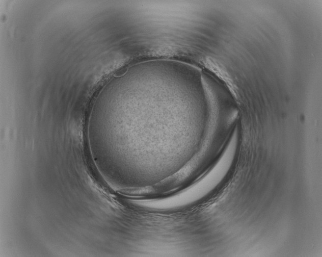 X0000089700681200706211319