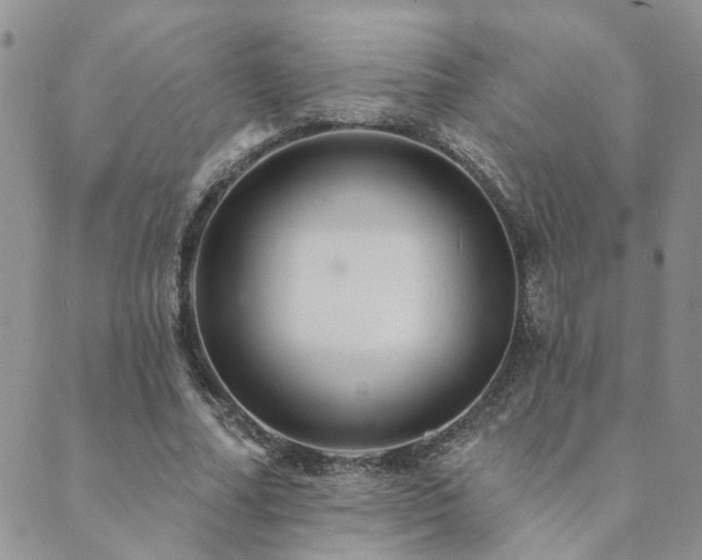 X0000089700682200706211319