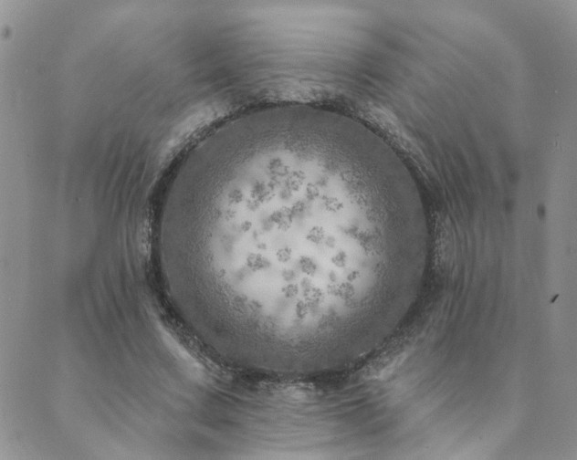 X0000089700683200706211319