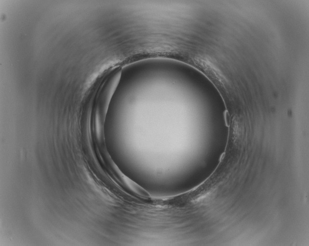 X0000089700684200706211319