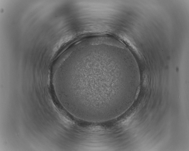 X0000089700685200706211319