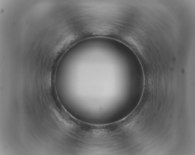 X0000089700686200706211319