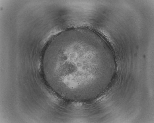 X0000089700687200706211318