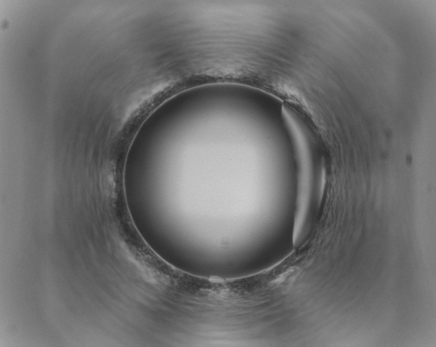 X0000089700688200706211318