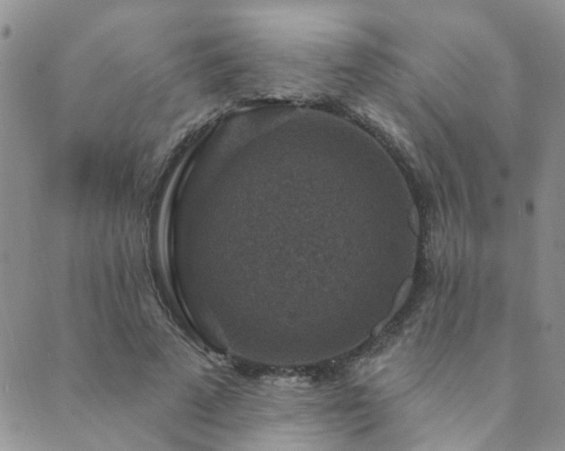 X0000089700689200706211318