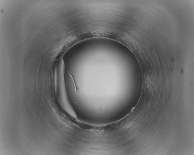 X0000089700690200706211318