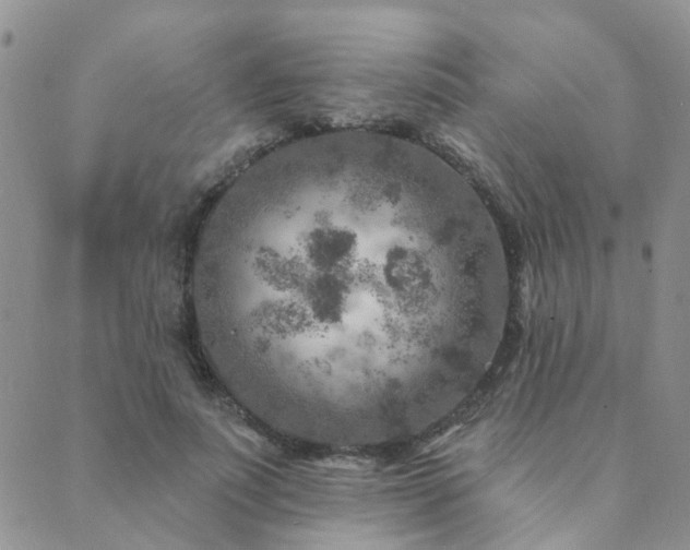 X0000089700691200706211318