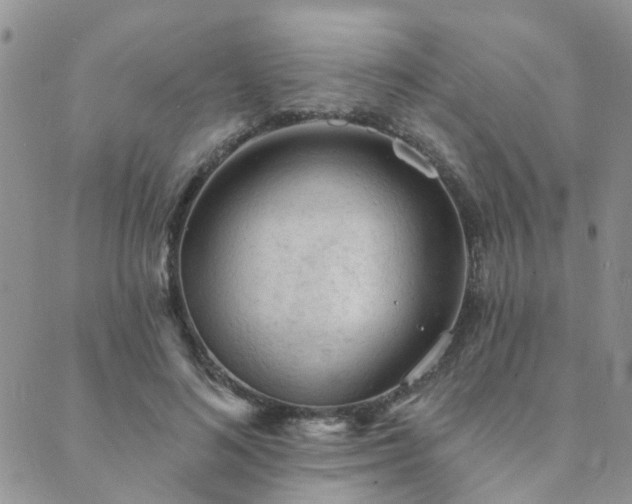 X0000089700692200706211318