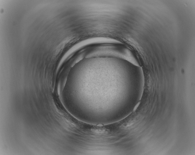 X0000089700693200706211318