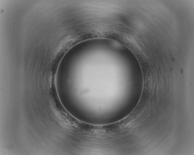 X0000089700694200706211318