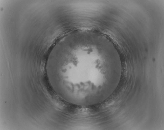 X0000089700695200706211318