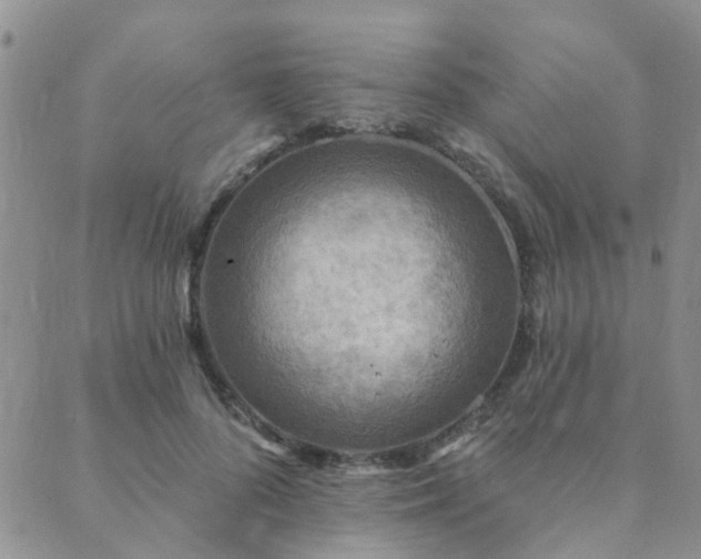 X0000089700696200706211318