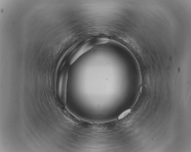 X0000089700697200706211318