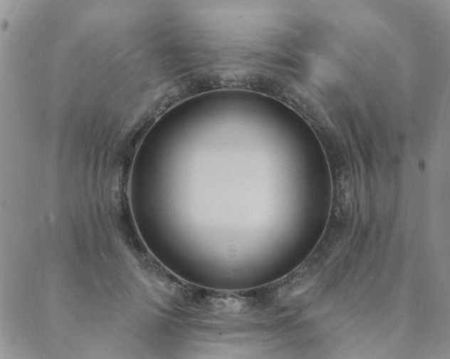 X0000089700698200706211318