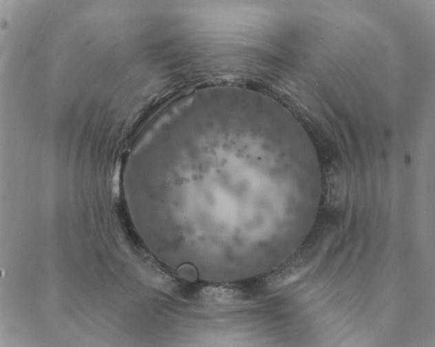 X0000089700699200706211318