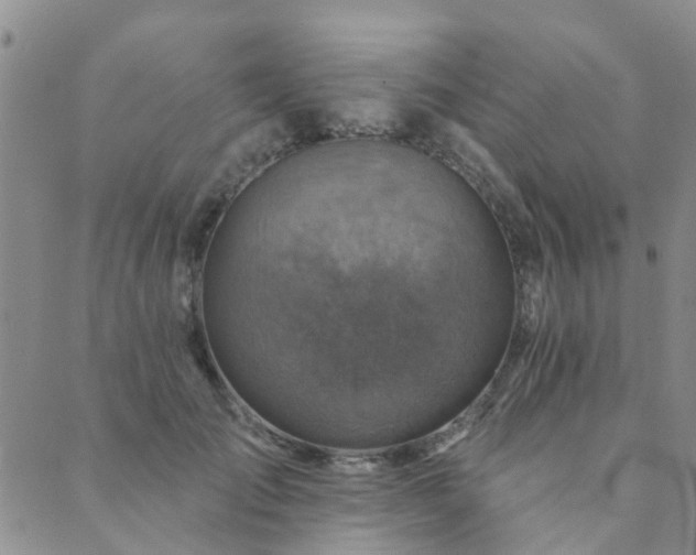 X0000089700701200706211318