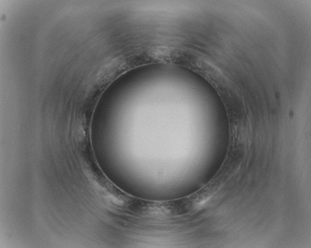 X0000089700702200706211318