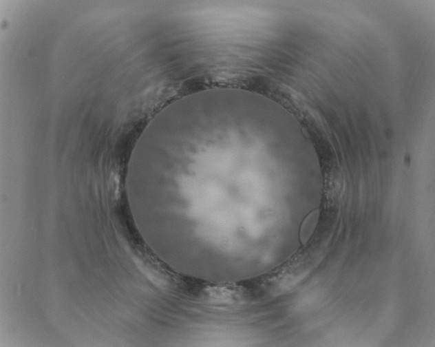 X0000089700703200706211318