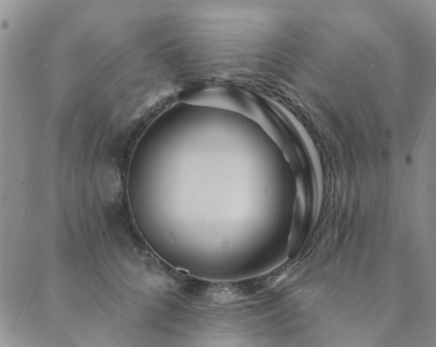 X0000089700704200706211318