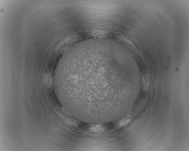 X0000089700705200706211318