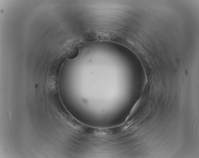 X0000089700706200706211318