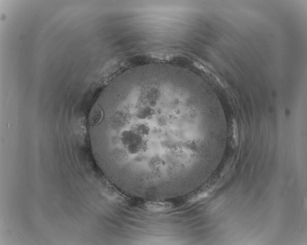 X0000089700707200706211318