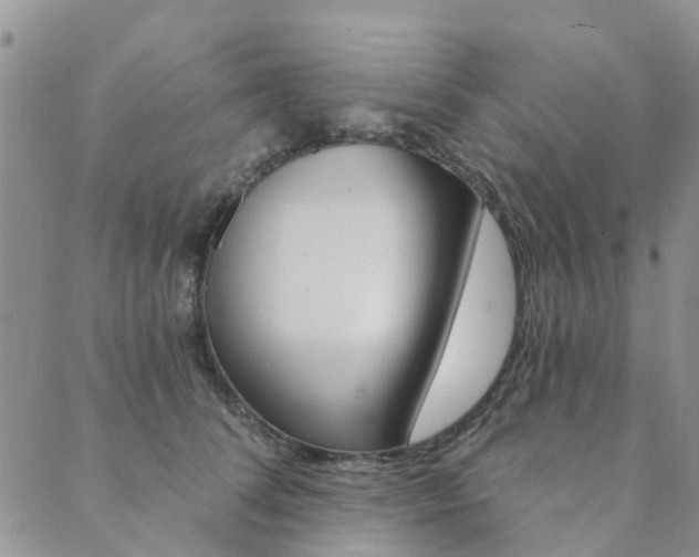 X0000089700708200706211318