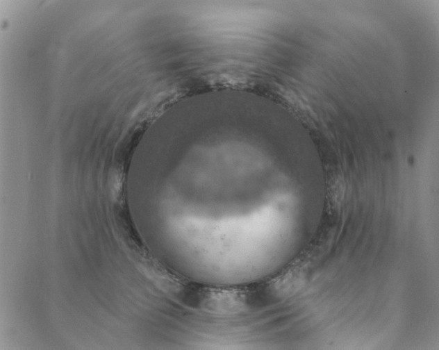 X0000089700709200706211318