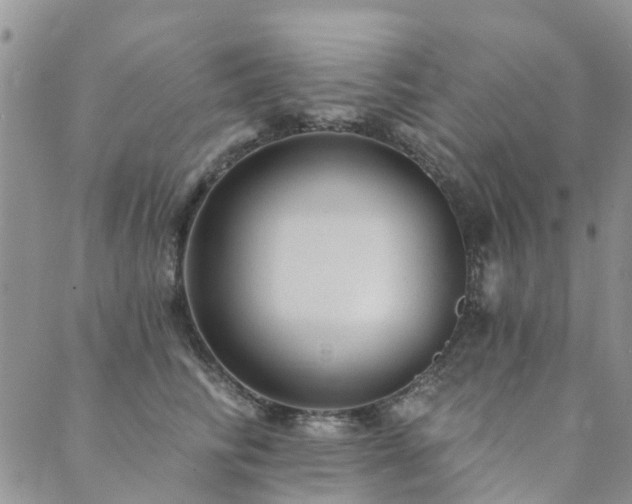 X0000089700710200706211318