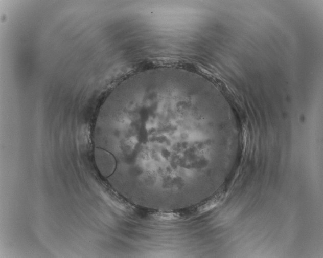 X0000089700711200706211318