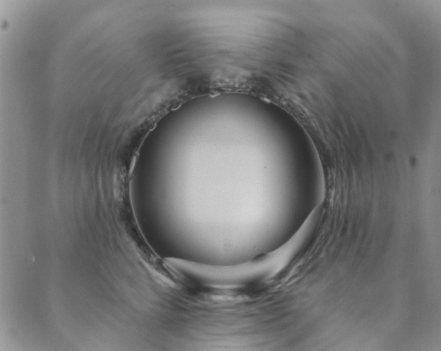 X0000089700712200706211318