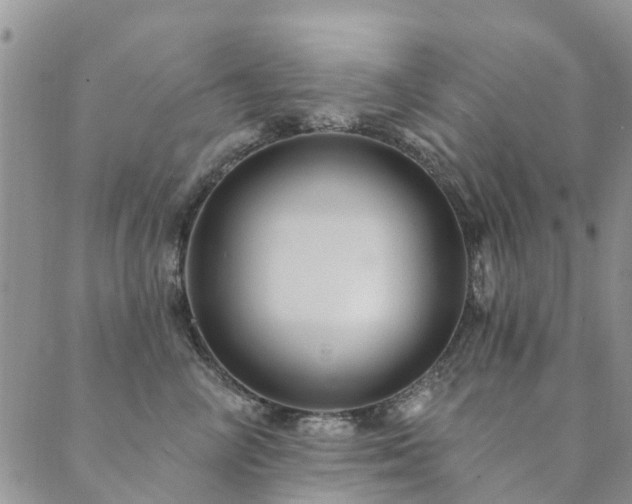 X0000089700714200706211318