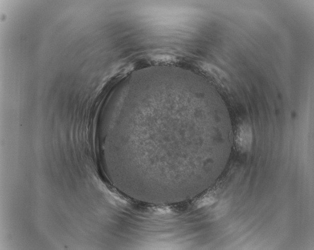 X0000089700715200706211318