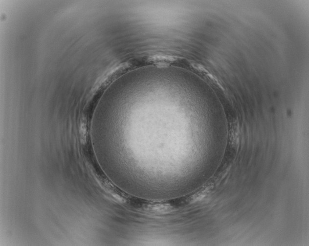 X0000089700716200706211318