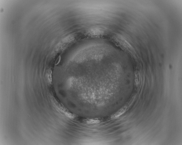 X0000089700718200706211318