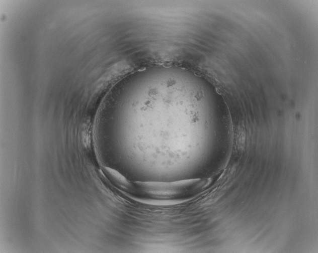 X0000089700719200706211318