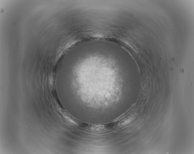 X0000089700720200706211318