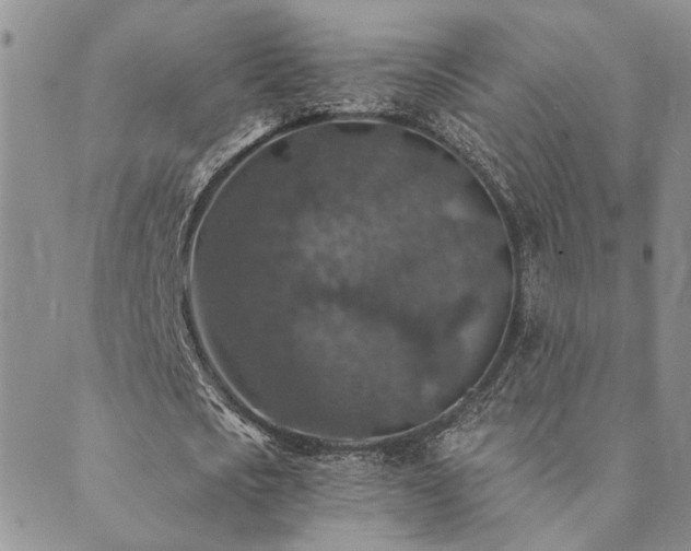 X0000089700721200706211317