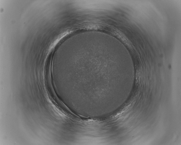 X0000089700722200706211317