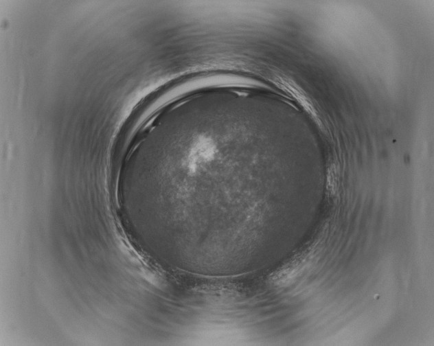 X0000089700724200706211317