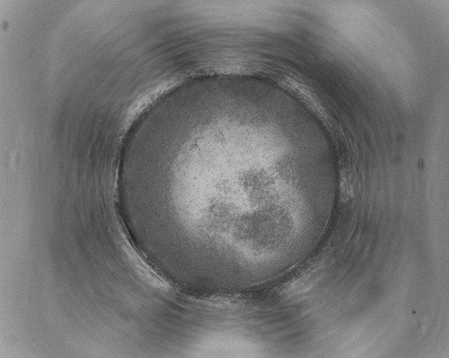 X0000089700725200706211317