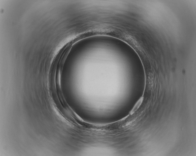 X0000089700726200706211317