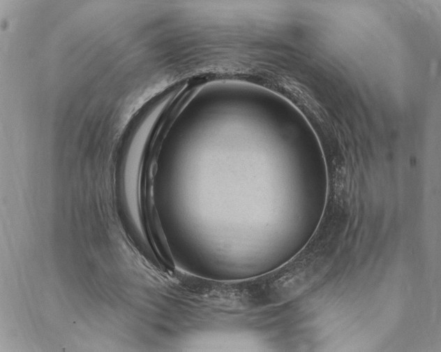 X0000089700727200706211317