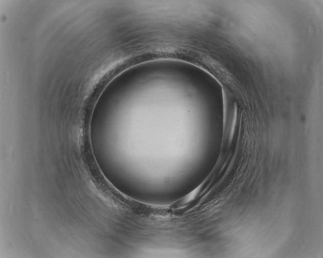 X0000089700728200706211317