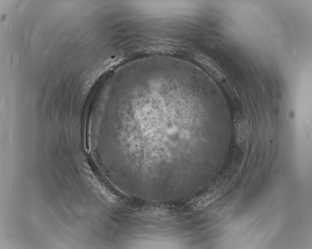 X0000089700729200706211317